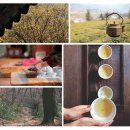 고려뚝배기 솔바람물소리 | 인간의 사유를 품은 신성한 공간 / 숲의 기억을 집으로 들이는 두 번째 생의 기록자 / 숲의 영물과 천년...