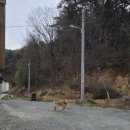 양양하조대마당넓은밤하늘별빛펜션 이미지