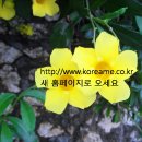 한국ME http://me.catholic.or.kr 초기화면에 올려진 아시아ME회의 심볼마크 이미지