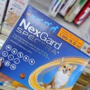 서정온누리약국 이미지