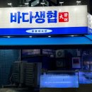 노원중계동맛집 : 바다생협 2번째 후기 노원방어 노원횟집 중계동 횟집