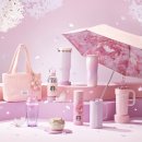 스타벅스 앞 | 스타벅스 두바이 쫀득롤 후기 &amp; 눈앞에 아른거리는 체리블라썸MD 구경🌸