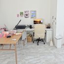 파주 문산 뽀꼬포토 스튜디오, 애견 사진