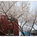 대건어린이집 이미지