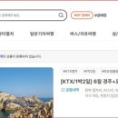 팔도관광여행사 이미지