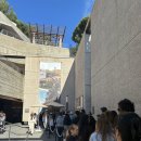 장관빌라 | 미국서부여행 LA미술관 추천 게티빌라 방문 후기