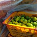 일조유통 이미지