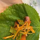 내린천로 이미지