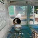 키마리스 | 남해펜션_프라이빗 비치가 바로 앞에 있는 숙소 &#39;키마리스&#39;