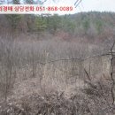 임고면-고천리-16