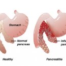 파리스동물병원 이미지