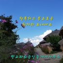드림공인중개사사무소 이미지