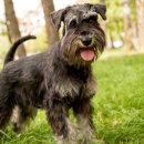 기장i동물의료센터 이미지