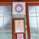 원조닭백숙 이미지