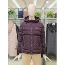 크로커다일 레이디 이미지