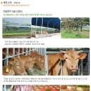 풍산명품한우작목회황소곳간