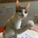 유명호프 이미지