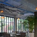 라피에스타 이미지