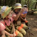 소새울어린이집 이미지