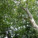 승준목장 이미지