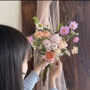 메리플라워 이미지