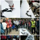 멋글씨 캘리그라피 이미지