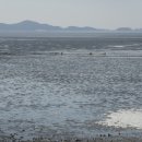 민머루해수욕장 이미지