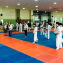 태풍 태권도장 이미지