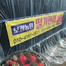 보광농장 이미지