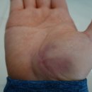 국토종주자전거길1-120 이미지