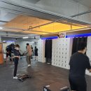 슈가복싱 이미지