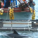 태산글로벌 이미지