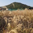 수원대학교 행정대학원 이미지