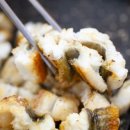 영일만검은돌장어 이미지