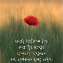행복자