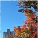 동행 행정사사무소 이미지