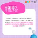삼척언어치료센터