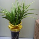 예천동부초등학교 이미지