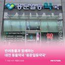 용문약국 이미지