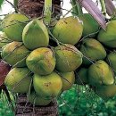 보나컴퍼니 이미지