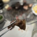 신부산갈매기 이미지