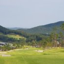 스톤게이트C.C 이미지