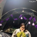 일월관광농원캠핑 이미지