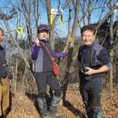 정문마을 이미지