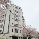 스파단식원 | 80kg이상 충남 아산 스파단식원 15일 단식 후기