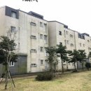 법환동-19 이미지