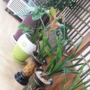 가삼골전복순두부 이미지