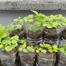 인지미술교실 이미지