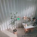 세무서사거리 이미지