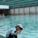 뽑고놀고 이미지